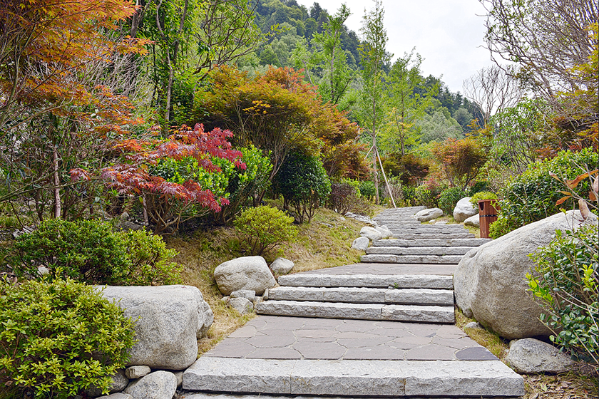 07登山道.png